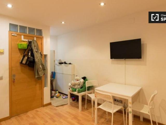 Apartamentos 1 Dormitorio Barcelona Barcelona ES101809654