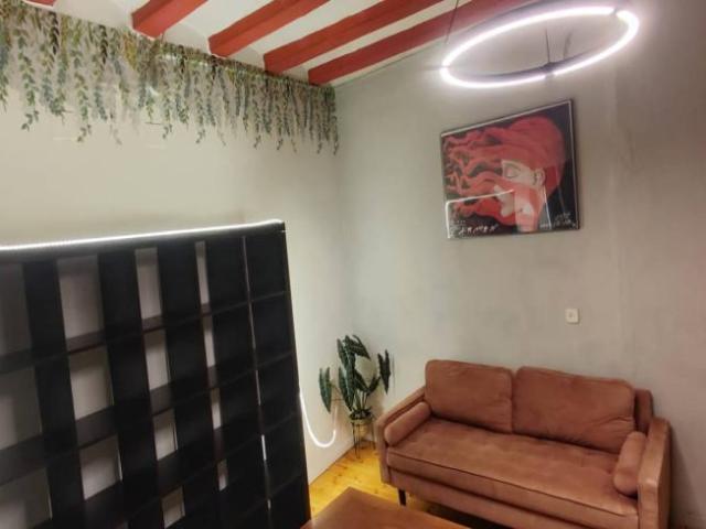 Apartamentos 1 Dormitorio Barcelona Barcelona ES101809698