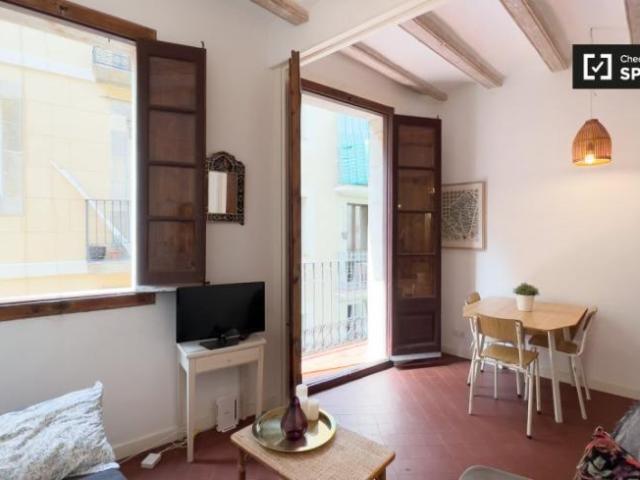 Apartamentos 1 Dormitorio Barcelona Barcelona ES101809284