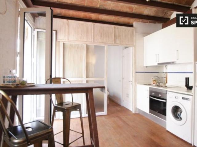 Apartamentos 1 Dormitorio Barcelona Barcelona ES101812994