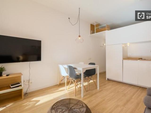 Apartamentos 1 Dormitorio Barcelona Barcelona ES101816071