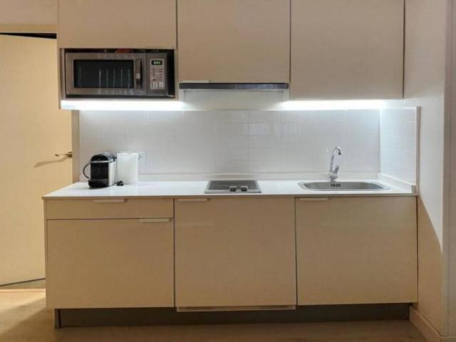 Apartamentos 1 Dormitorio Barcelona Barcelona ES101817522