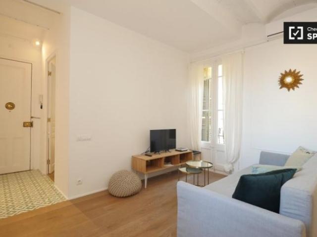 Apartamentos 1 Dormitorio Barcelona Barcelona ES101821898