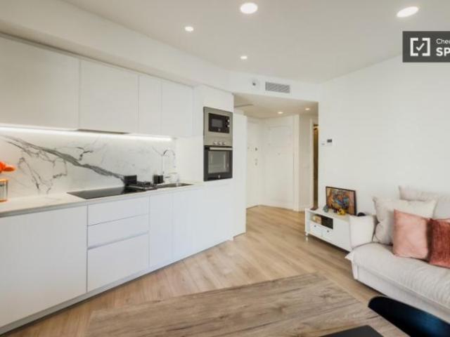 Apartamentos 1 Dormitorio Barcelona Barcelona ES101822086