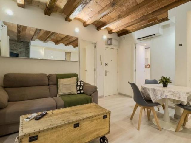 Apartamentos 1 Dormitorio Barcelona Barcelona ES101834694