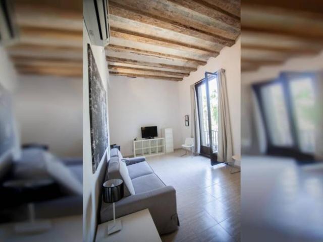 Apartamentos 1 Dormitorio Barcelona Barcelona ES101835805