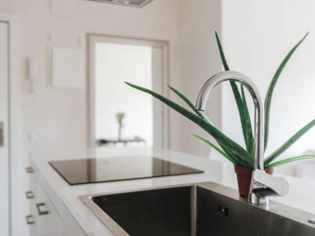 Apartamentos 1 Dormitorio Barcelona Barcelona ES101840332