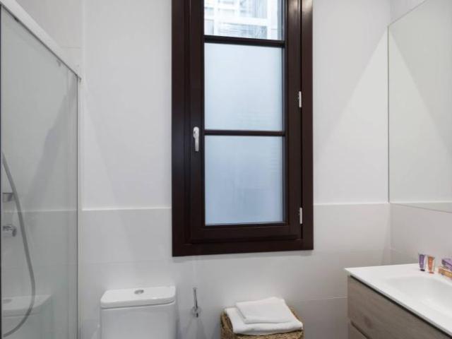 Apartamentos 1 Dormitorio Barcelona Barcelona ES101841626