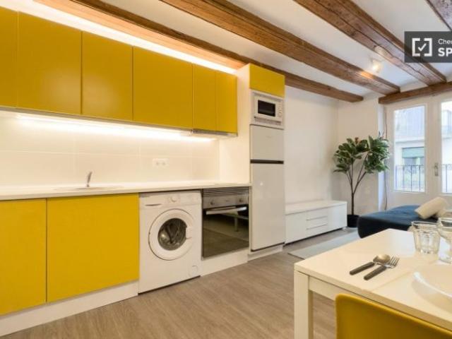 Apartamentos 1 Dormitorio Barcelona Barcelona ES101918350
