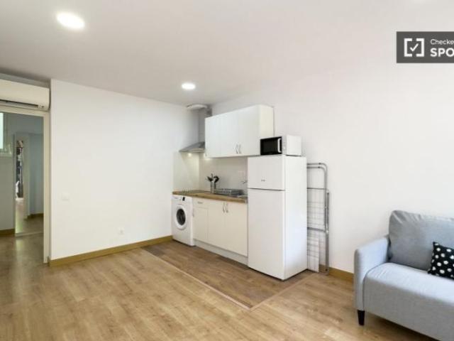 Apartamentos 1 Dormitorio Barcelona Barcelona ES101993526