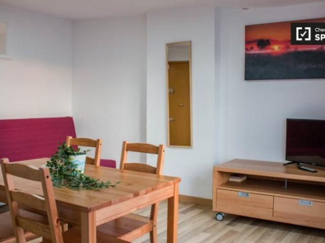 Apartamentos 1 Dormitorio Barcelona Barcelona ES101993790