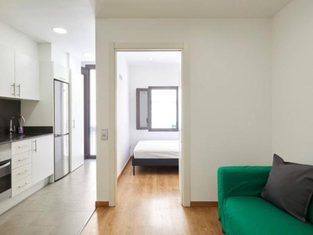 Apartamentos 1 Dormitorio Barcelona Barcelona ES101155214
