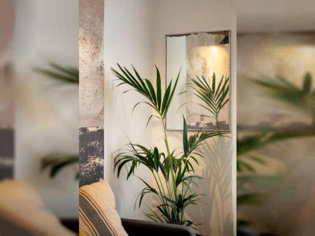 Apartamentos 1 Dormitorio Barcelona Barcelona ES102400259