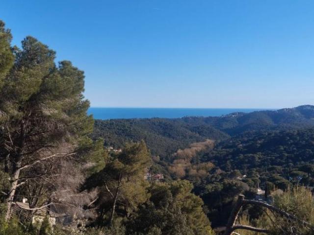 Apartamentos 1 Dormitorio Barcelona Barcelona ES102437739