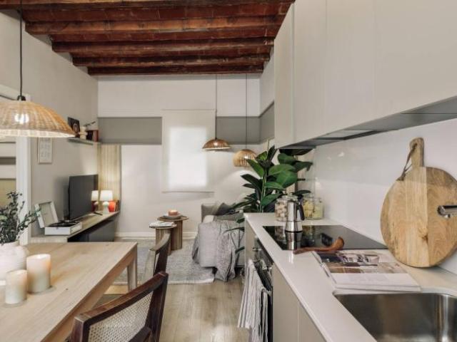 Apartamentos 1 Dormitorio Barcelona Barcelona ES102853017
