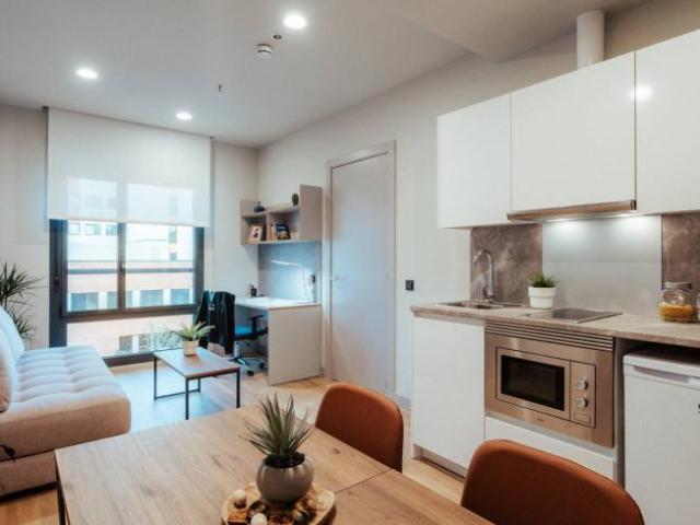 Apartamentos 1 Dormitorio Barcelona Barcelona ES102147262