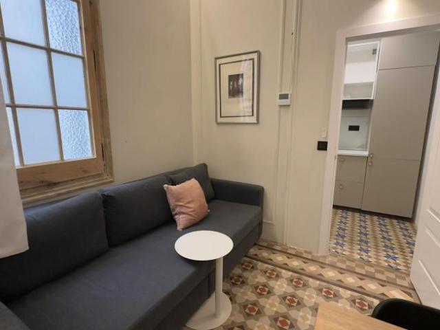 Apartamentos 1 Dormitorio Barcelona Barcelona ES103654494