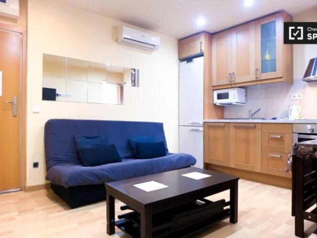 Apartamentos 1 Dormitorio Barcelona Barcelona ES103844466