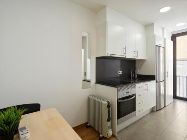 Apartamentos 1 Dormitorio Barcelona Barcelona ES104474544