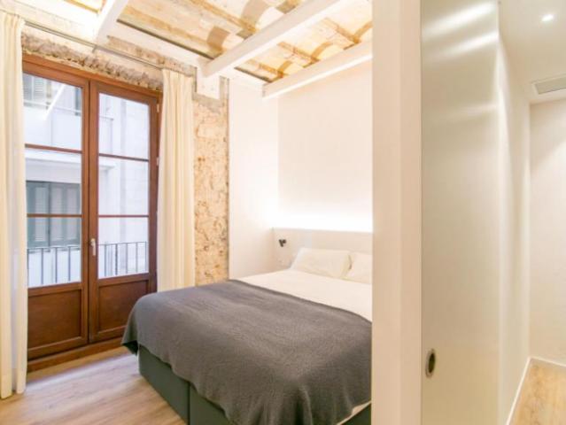 Apartamentos 1 Dormitorio Barcelona Barcelona ES104565258