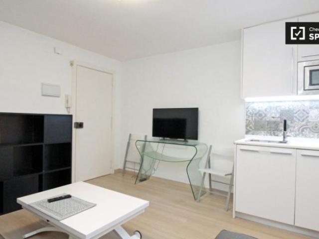 Apartamentos 1 Dormitorio Barcelona Barcelona ES104644426