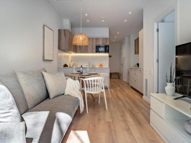 Apartamentos 1 Dormitorio Barcelona Barcelona ES104721252