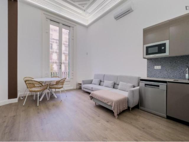 Apartamentos 1 Dormitorio Barcelona Barcelona ES104721297