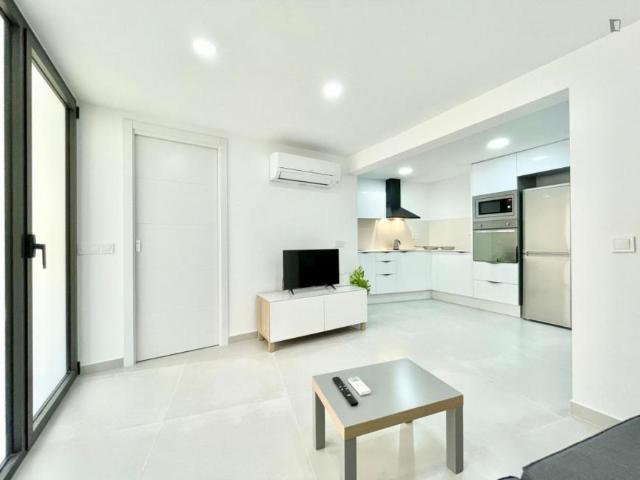 Apartamentos 1 Dormitorio Barcelona Barcelona ES104721322