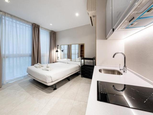 Apartamentos 1 Dormitorio Barcelona Barcelona ES104754842