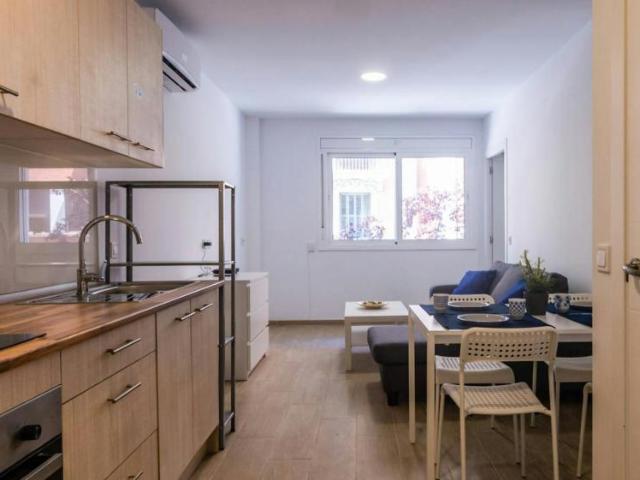 Apartamentos 1 Dormitorio Barcelona Barcelona ES104797995