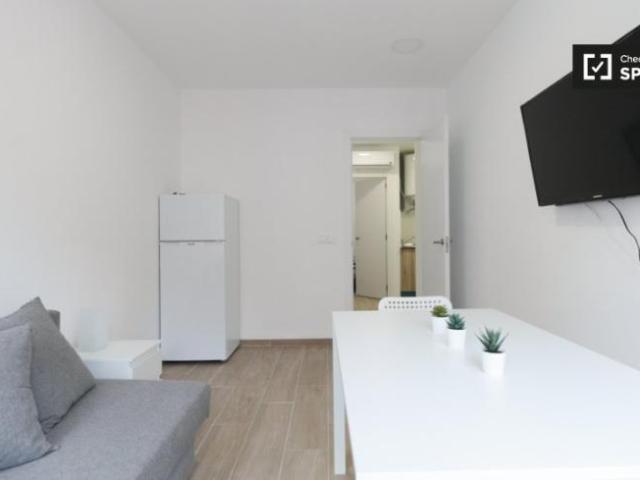 Apartamentos 1 Dormitorio Barcelona Barcelona ES104803249