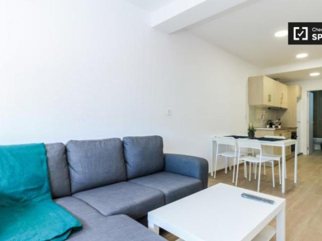 Apartamentos 1 Dormitorio Barcelona Barcelona ES104803259