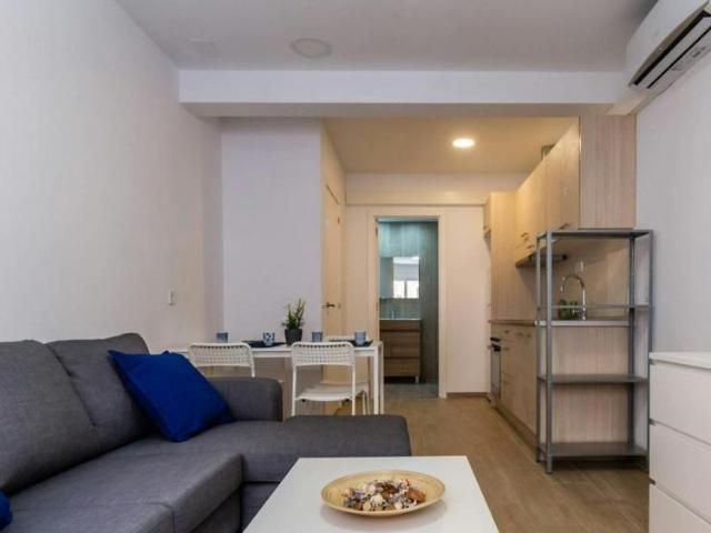 Apartamentos 1 Dormitorio Barcelona Barcelona ES104843273