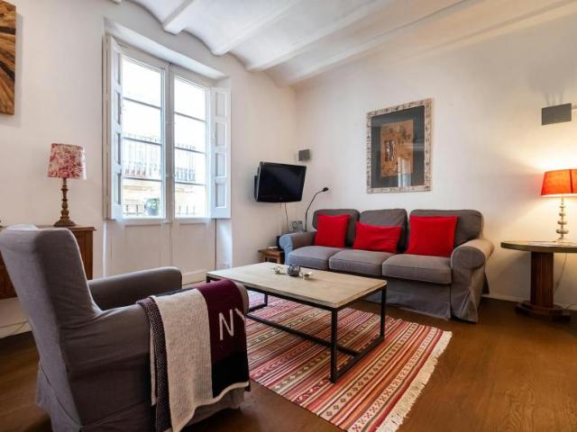 Apartamentos 1 Dormitorio Barcelona Barcelona ES104865940