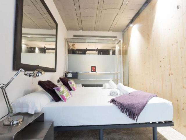 Apartamentos 1 Dormitorio Barcelona Barcelona ES104926104