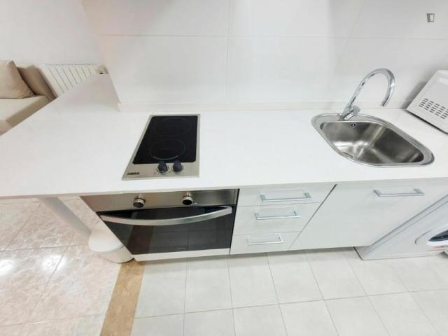 Apartamentos 1 Dormitorio Barcelona Barcelona ES104931394