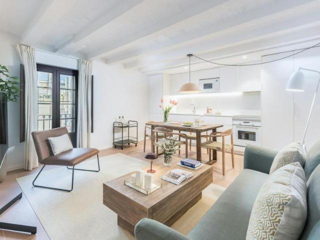Apartamentos 1 Dormitorio Barcelona Barcelona ES104002715
