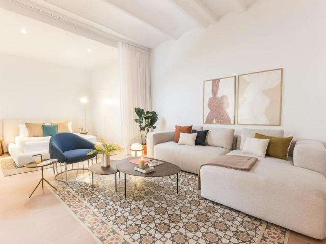 Apartamentos 1 Dormitorio Barcelona Barcelona ES104002766