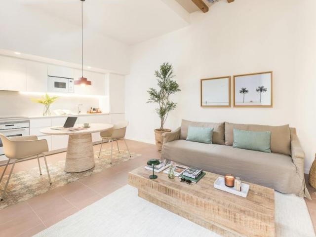 Apartamentos 1 Dormitorio Barcelona Barcelona ES104002769