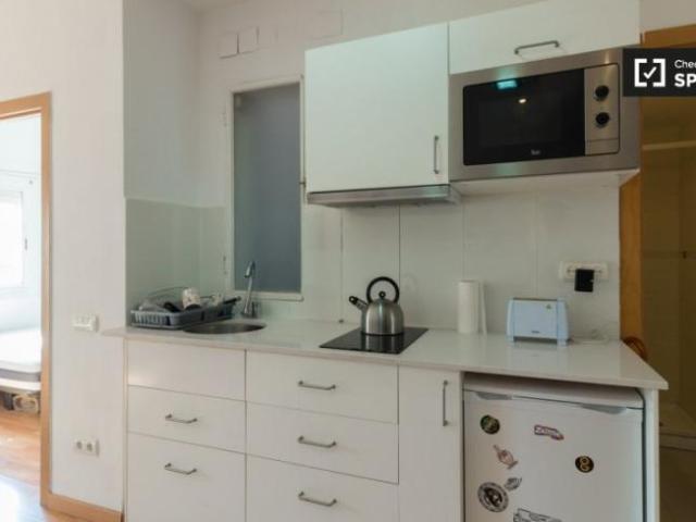 Apartamentos 1 Dormitorio Barcelona Barcelona ES104109446