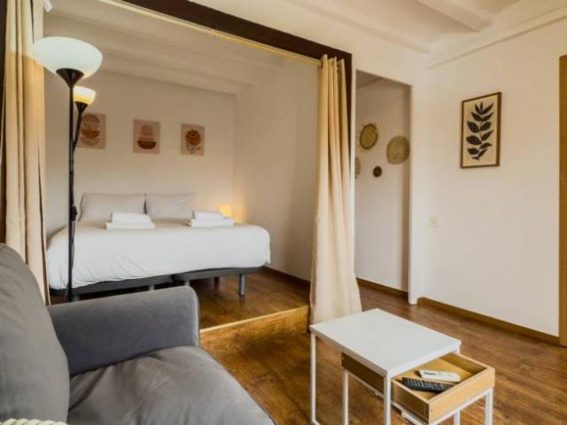 Apartamentos 1 Dormitorio Barcelona Barcelona ES104109520