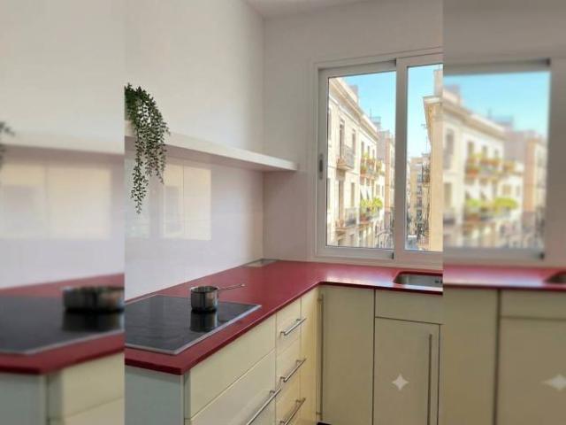 Apartamentos 1 Dormitorio Barcelona Barcelona ES104184653