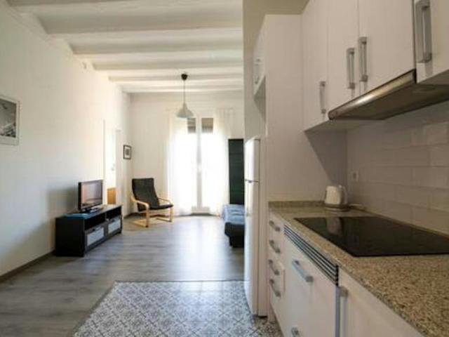 Apartamentos 1 Dormitorio Barcelona Barcelona ES104293105
