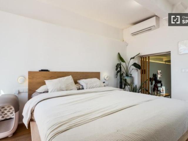 Apartamentos 1 Dormitorio Barcelona Barcelona ES105006440