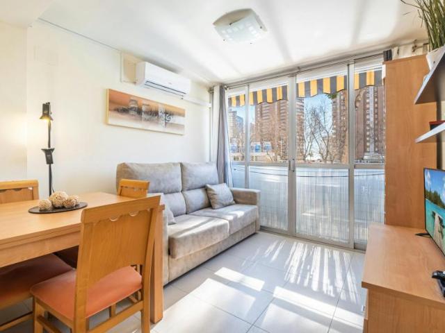 Apartamentos 1 Dormitorio Benidorm Benidorm ELS103092682
