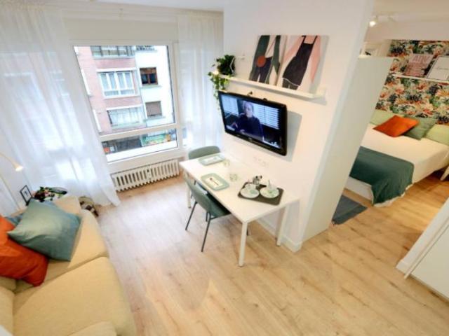 Apartamentos 1 Dormitorio Bilbao Bilbao ES101992870