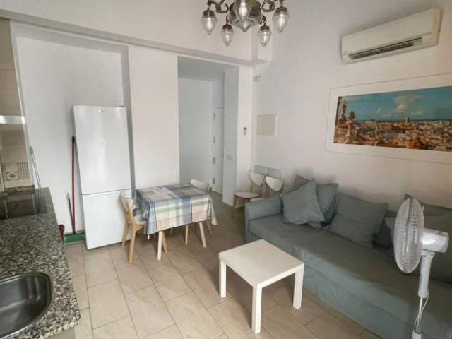 Apartamentos 1 Dormitorio Cadiz Cadiz ES104326850