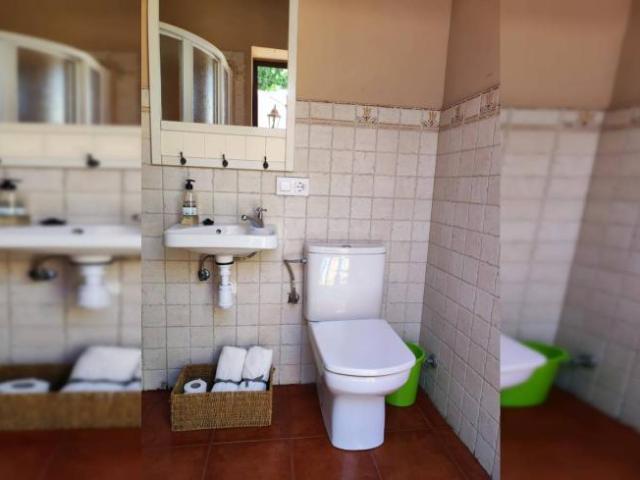 Apartamentos 1 Dormitorio Cadiz Cadiz ES103576849