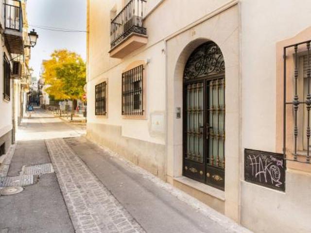 Apartamentos 1 Dormitorio Granada Granada ELS45380630