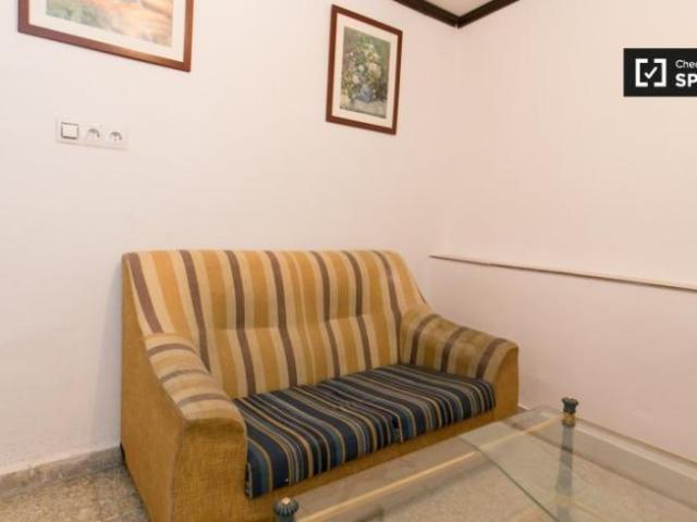 Apartamentos 1 Dormitorio Granada Granada ELS99799247
